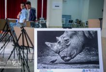 گزارش تصویری | نمایشگاه عکس های برگزیده جشنواره بین المللی عکس خیام 